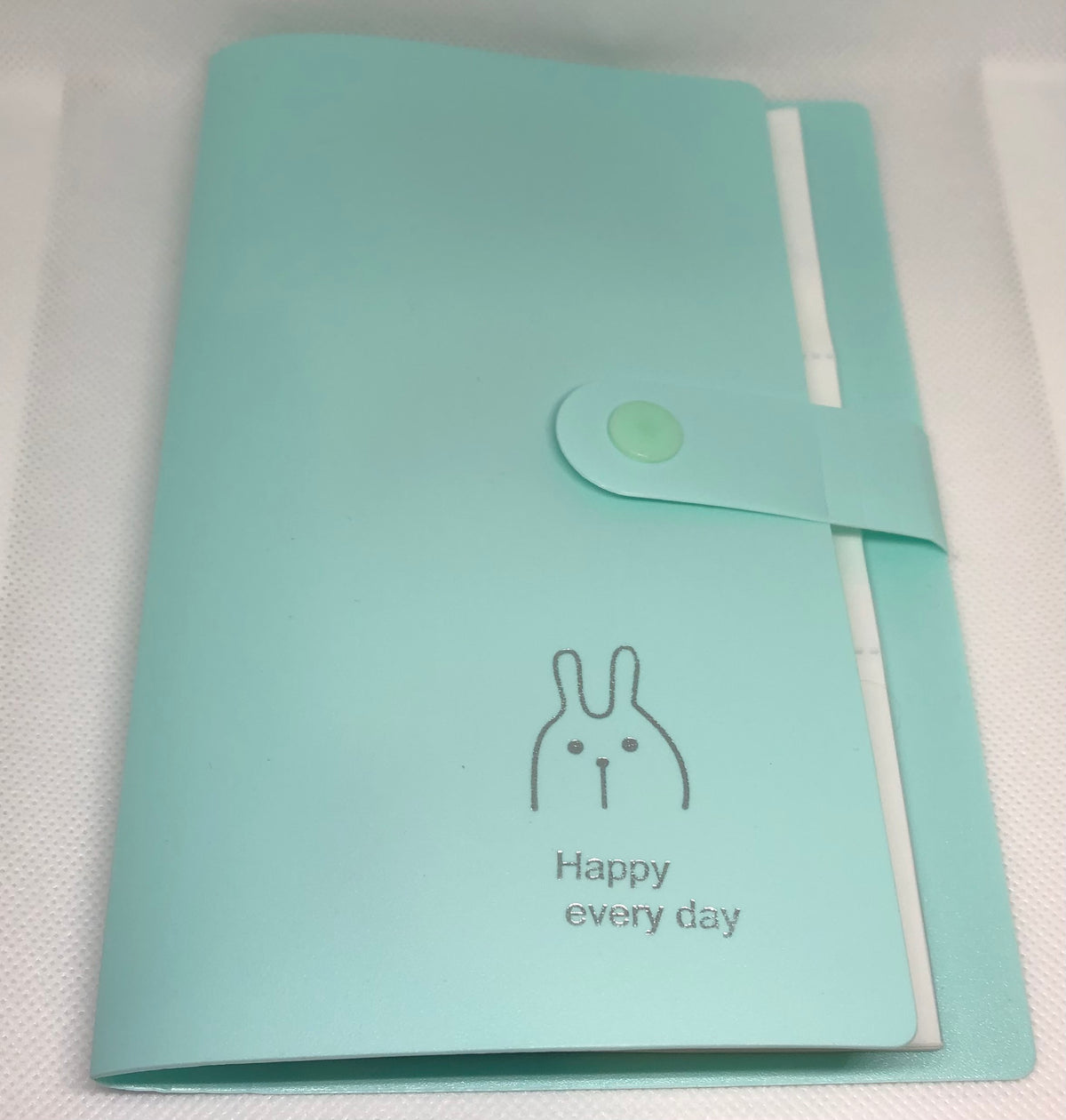 Mini Photo Album, Business Cards Holder, Etc. Book