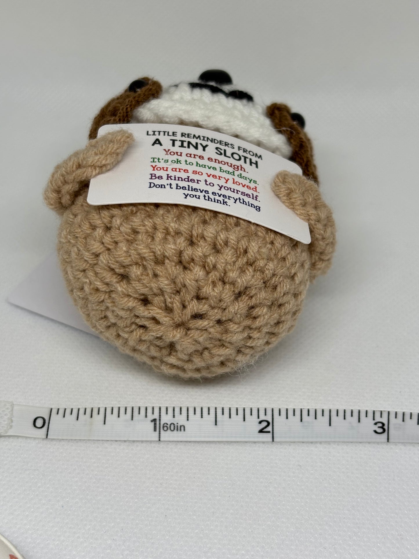 Little Reminders From a Tiny Sloth